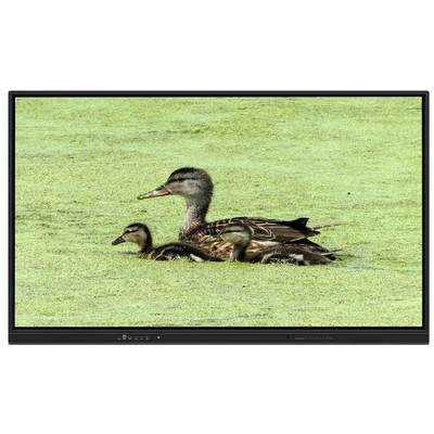 All In One Interactive Whiteboard 65 Inch Android 14 15 8+128G Teaching Meeting Software 50 Touch Points Light Sensor Speakers App Store Built-in For Education Teaching Online Meetings