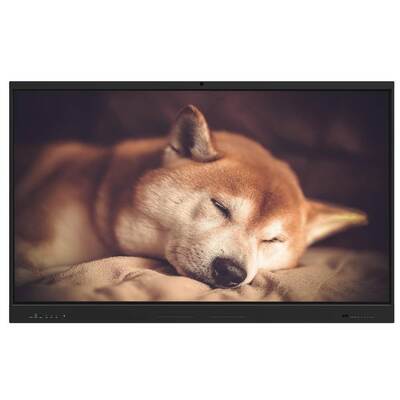 IBoard 最新のインタラクティブホワイトボード 86インチ スマートインタラクティブディスプレイ