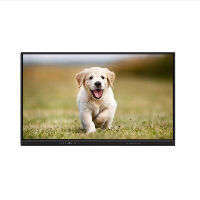 iBoard インタラクティブホワイトボード Android 16 EDLA認証 インタラクティブフラットパネル